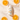 Combo Cabana Hills Vitamin C Serum
